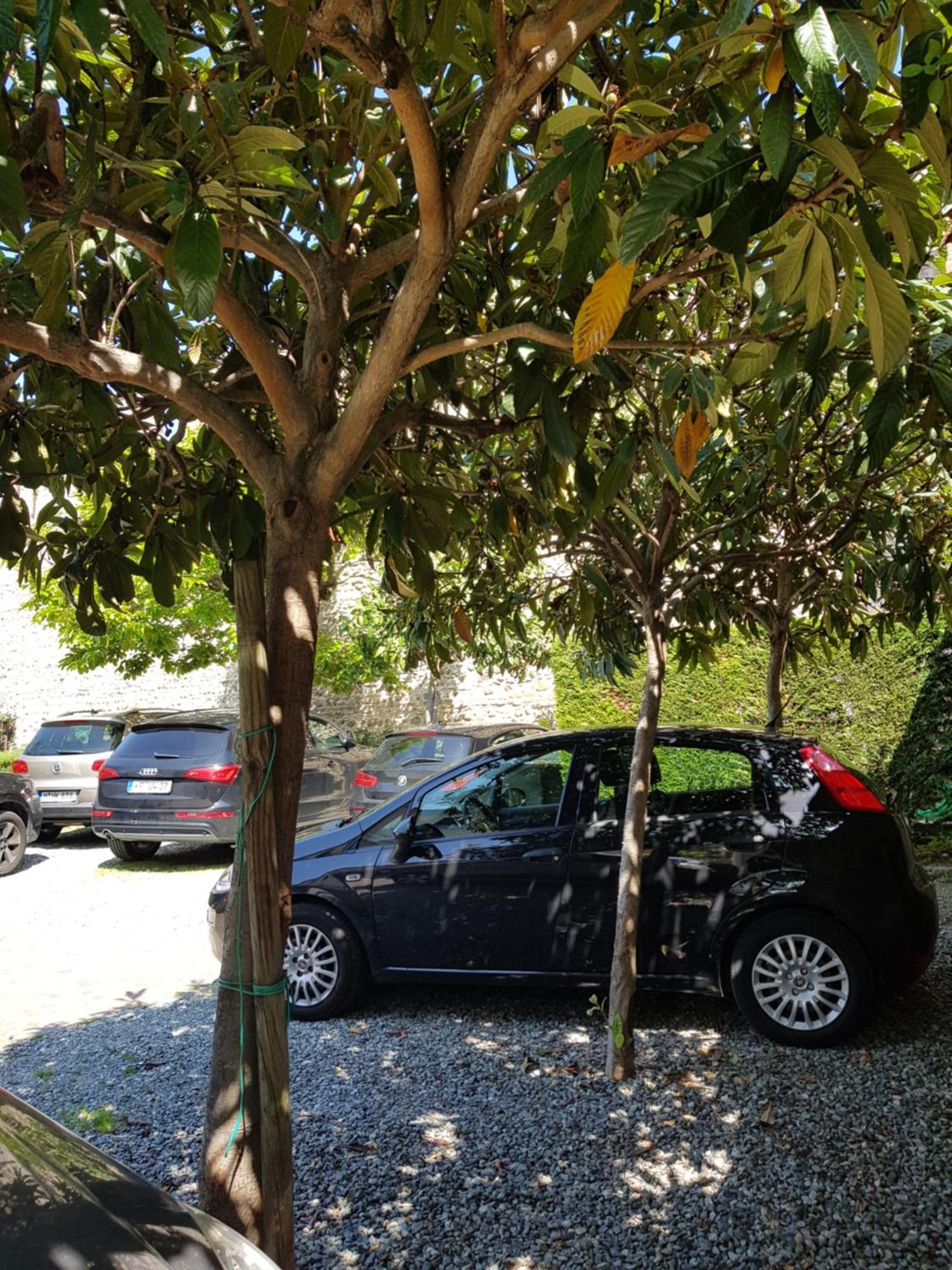Hotel Villa Cansignorio Lazise Luaran gambar
